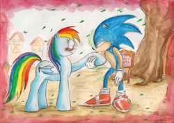 Size: 2306x1629 | Tagged: safe, artist:souleatersaku90, rainbow dash, g4, blushing, commission, crossover, crossover shipping, fanfic art, golden oaks library, interspecies, male, ponyville, romance, shipping, sonic the hedgehog, sonic the hedgehog (series), sonicdash, the simple life, traditional art, watercolor painting