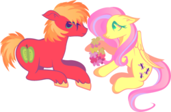 Size: 546x359 | Tagged: safe, artist:lionsca, big macintosh, fluttershy, earth pony, pony, g4, lei, male, ship:fluttermac, shipping, stallion, straight