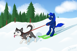 Size: 1573x1051 | Tagged: safe, artist:crusierpl, oc, oc only, oc:crusier, oc:nexeve, husky, pegasus, pony, snow, tree