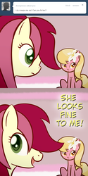 Size: 650x1300 | Tagged: safe, artist:why485, lily, lily valley, roseluck, ask the flower trio, g4, ask, comic, tumblr