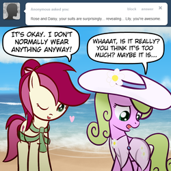 Size: 650x650 | Tagged: safe, artist:why485, daisy, flower wishes, roseluck, ask the flower trio, g4, ask, beach, duo, hat, tumblr