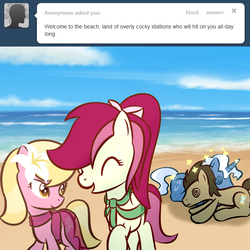 Size: 650x650 | Tagged: safe, artist:why485, doctor whooves, lily, lily valley, pokey pierce, roseluck, time turner, ask the flower trio, g4, ask, beach, tumblr