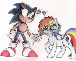 Size: 1024x831 | Tagged: safe, artist:spectrum-sparkle, rainbow dash, g4, backwards cutie mark, crossover, crossover shipping, drawing, flower, male, shipping, sonic the hedgehog, sonic the hedgehog (series), sonicdash, traditional art
