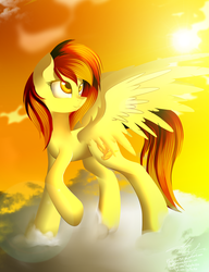 Size: 2000x2600 | Tagged: safe, artist:thelyuba1211, spitfire, g4, cloud, cloudy, female, high res, solo, sunset