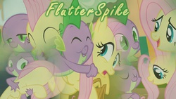 Size: 960x540 | Tagged: safe, artist:drakkenlovesshego12, fluttershy, spike, g4, collage, female, male, ship:flutterspike, shipping, straight, wallpaper