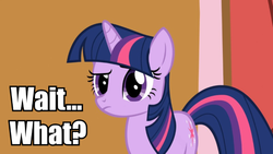 Size: 640x360 | Tagged: safe, twilight sparkle, g4, caption, female, image macro, meme, solo