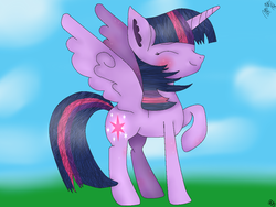 Size: 1024x768 | Tagged: safe, artist:rainbowdash666666666, twilight sparkle, alicorn, pony, g4, female, mare, raised hoof, solo, twilight sparkle (alicorn)