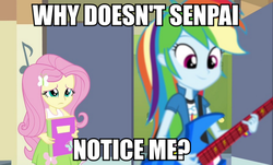 Size: 826x500 | Tagged: safe, edit, edited screencap, screencap, fluttershy, rainbow dash, equestria girls, g4, caption, female, image macro, lesbian, meme, senpai, ship:flutterdash, shipping