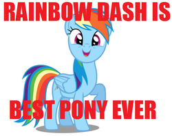 Size: 698x554 | Tagged: safe, rainbow dash, g4, best pony, female, image macro, meme, solo, truth