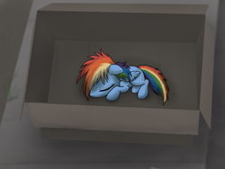 Size: 800x600 | Tagged: safe, artist:dawnmistpony, rainbow dash, pony, fanfic:my little dashie, g4, box, cardboard box, female, filly, filly rainbow dash, pony in a box, younger