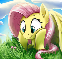 Size: 2920x2755 | Tagged: safe, artist:otakuap, fluttershy, insect, ladybug, pegasus, pony, g4, cloud, cute, ear fluff, female, grass, high res, looking at something, mare, prone, shyabetes, sky, smiling, solo, spread wings, watching