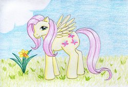 Size: 900x613 | Tagged: safe, artist:normaleeinsane, fluttershy, g4, female, flower, solo, traditional art