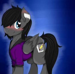 Size: 733x725 | Tagged: safe, artist:typhysoru, oc, oc only, oc:etchasketch, pegasus, pony, blushing, clothes, digital art, hoodie, looking at you