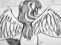 Size: 2048x1536 | Tagged: safe, artist:mylittlelevi64, oc, oc only, oc:feather drop, pegasus, pony, solo