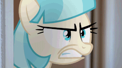 Size: 700x394 | Tagged: safe, artist:stormxf3, coco pommel, pony, g4, angry, animated, coco pummel, irl, photo, ponies in real life, rage, solo, squint, this will end in pain, youtube, youtube link