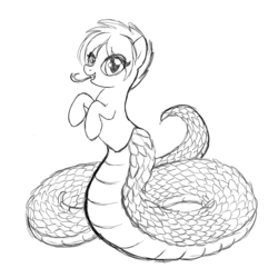 Size: 800x800 | Tagged: safe, oc, lamia, original species, snake, forked tongue, monochrome, monster, scales