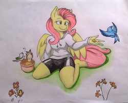 Size: 1265x1019 | Tagged: safe, artist:charlescaw, artist:joey darkmeat, fluttershy, bird, anthro, plantigrade anthro, g4, barefoot, drawing, feeding, feet, traditional art