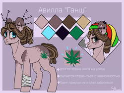 Size: 4000x3000 | Tagged: safe, artist:sunshineapple, oc, oc only, bloodshot eyes, ear piercing, marijuana, reference sheet, russian, smoke weed everyday, solo