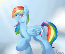 Size: 6000x5000 | Tagged: safe, artist:tuxisthename, rainbow dash, g4, absurd resolution, female, solo