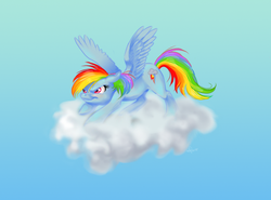 Size: 856x632 | Tagged: safe, artist:rikusumi, rainbow dash, g4, cloud, female, ready to fly, solo, spread wings