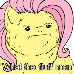 Size: 3488x3488 | Tagged: safe, artist:megasweet, edit, fluttershy, fluffy pony, g4, fluffy, fluffyshy, funny, high res, reaction image, simple background, transparent background, vector, what the fuck man