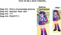 Size: 536x312 | Tagged: safe, twilight sparkle, equestria girls, g4, meta, op is a duck