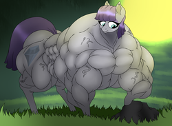 Size: 1653x1213 | Tagged: safe, artist:baronbulge, maud pie, earth pony, pony, g4, female, fetish, mare, maud pump, muscle fetish, muscles, overdeveloped muscles, solo, vein, wrong cutie mark