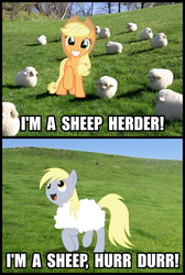 Size: 800x1190 | Tagged: safe, applejack, derpy hooves, sheep, g4, derp, hurr durr, image macro, irl, meme, photo, ponies in real life, pun, text