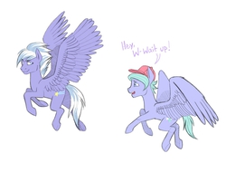 Size: 1637x1317 | Tagged: safe, artist:fiona, cloudchaser, flitter, pegasus, pony, g4, baseball cap, duo, hat, rule 63