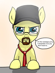 Size: 721x943 | Tagged: safe, artist:kill joy, pony, angry, crossover, fanart, nostalgia critic, ponified, series, solo