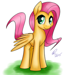 Size: 3600x3600 | Tagged: safe, artist:raindashdragon, fluttershy, g4, female, high res, solo