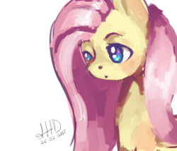 Size: 3500x3000 | Tagged: safe, artist:admiralhotdog, fluttershy, g4, female, high res, solo