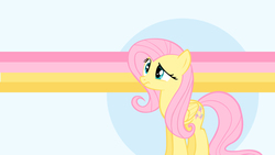 Size: 1920x1080 | Tagged: safe, artist:dnkovic, artist:shelmo69, fluttershy, g4, o.o, vector, wallpaper