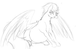 Size: 3009x1961 | Tagged: safe, artist:patch, spitfire, g4, bedroom eyes, belly, bit, female, grayscale, looking back, monochrome, mouth hold, pregnant, simple background, sitting, sketch, smiling, solo, spread wings, white background