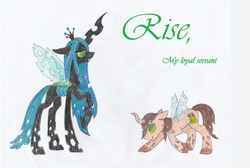 Size: 3544x2388 | Tagged: safe, artist:gerbsterpers, queen chrysalis, oc, oc:poisoned soul, g4, changelingified, chrysalislover, high res, kneeling