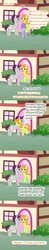 Size: 396x2016 | Tagged: safe, artist:allonsbro, carrot top, golden harvest, liza doolots, petunia, tootsie flute, written script, g4, ask, chat with tootsie, tumblr