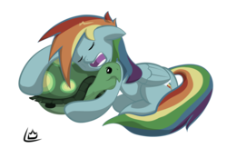 Size: 5974x4150 | Tagged: safe, artist:liracrown, rainbow dash, tank, g4, absurd resolution, cute, daaaaaaaaaaaw, simple background, sleeping, sweet dreams fuel, transparent background