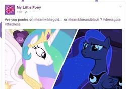 Size: 505x358 | Tagged: safe, princess celestia, princess luna, alicorn, pony, g4, official, facebook, female, mare, meme, ponyhoof, royal sisters, siblings, sisters, white and gold or black and blue dress meme
