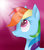 Size: 1024x1165 | Tagged: safe, artist:justbrohoof, rainbow dash, g4, female, portrait, solo