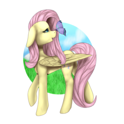 Size: 2000x2000 | Tagged: safe, artist:bolt-the-human, fluttershy, butterfly, g4, butterfly on nose, female, high res, insect on nose, solo