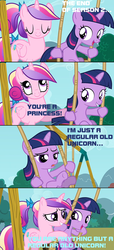 Size: 600x1316 | Tagged: safe, edit, edited screencap, screencap, princess cadance, twilight sparkle, a canterlot wedding, g4, blue text, comic, filly, filly twilight sparkle, image macro, meme, screencap comic, swing, teen princess cadance