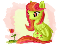 Size: 1024x768 | Tagged: safe, artist:bowtiefoxin, oc, oc only, oc:tulipa, pegasus, pony, solo