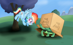 Size: 2000x1248 | Tagged: safe, artist:machstyle, rainbow dash, tank, pony, g4, cardboard box