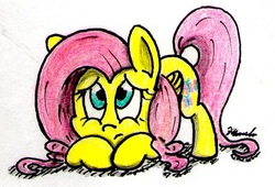 Size: 665x453 | Tagged: safe, artist:airman12, fluttershy, g4, female, solo, traditional art