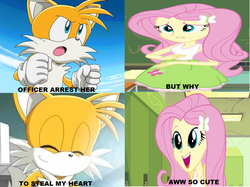 Size: 1024x765 | Tagged: safe, edit, edited screencap, screencap, fluttershy, equestria girls, g4, caption, comic, crossover, female, fluttertails, grammar error, image macro, male, meme, miles "tails" prower, pickup lines, shipping, sonic the hedgehog (series), straight, wrong aspect ratio