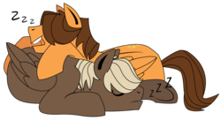 Size: 1300x706 | Tagged: safe, artist:dbkit, dumbbell, hoops, pegasus, pony, g4, ask, duo, lying, lying down, lying on top of someone, onomatopoeia, prone, simple background, sleeping, sound effects, transparent background, tumblr, zzz