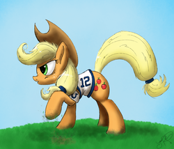 Size: 2000x1710 | Tagged: safe, artist:jorobro, applejack, earth pony, pony, g4, american football, andrew luck, female, indianapolis colts, nfl, solo, super bowl, super bowl xlix
