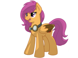 Size: 1024x768 | Tagged: safe, artist:itstaylor-made, scootaloo, g4, female, older, simple background, solo, transparent background, vector