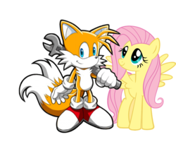 Size: 735x650 | Tagged: safe, artist:moongazeponies, fluttershy, g4, crossover, male, miles "tails" prower, simple background, sonic the hedgehog (series), transparent background, vector