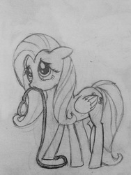 Size: 1977x2636 | Tagged: safe, artist:dr friendship, fluttershy, pegasus, pony, g4, female, leash, mare, monochrome, mouth hold, pet play, solo, traditional art